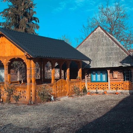La Rodica In Vale Guest House Ocna Şugatag Exterior foto