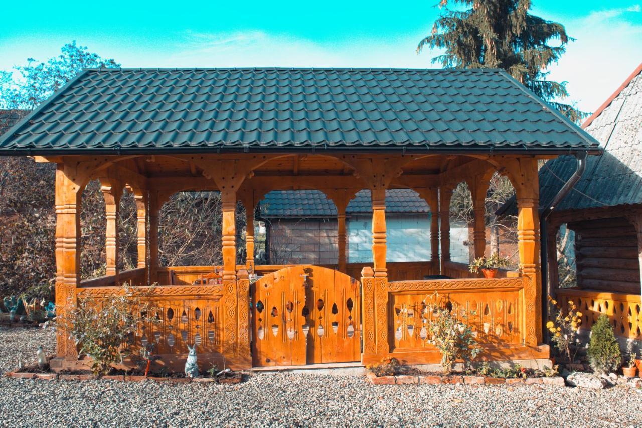 La Rodica In Vale Guest House Ocna Şugatag Exterior foto