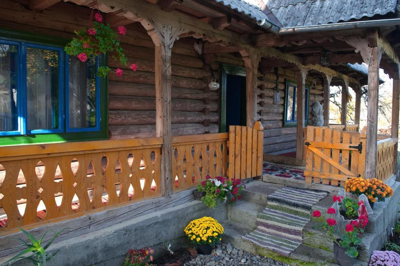 La Rodica In Vale Guest House Ocna Şugatag Exterior foto